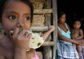 Nuevo informe de la ONU: 43,2 millones de personas sufren hambre en América Latina y el Caribe y la región registra niveles de sobrepeso y obesidad mayores a la estimación mundial 