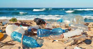 Los verdaderos costos sociales, ambientales y económicos de la contaminación por plásticos