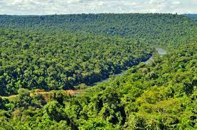 ¿El aire es gratis? ¿Debemos pagarle a la naturaleza