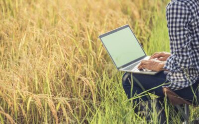 Cadena agroalimentaria: «La tendencia moderna es ir hacia una digitalización total»