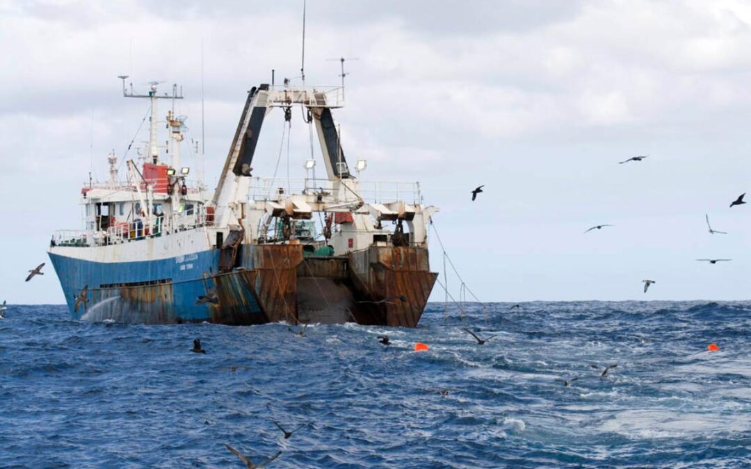 Intercámaras expresa su rechazo a la reforma del Régimen Federal de Pesca