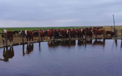 Invertir en infraestructura, clave para una gestión de agua eficiente