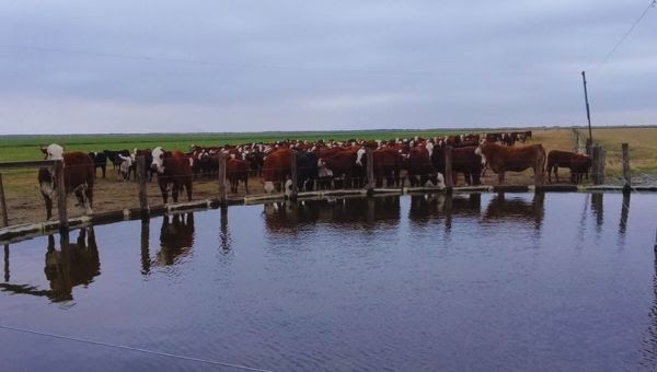 Invertir en infraestructura, clave para una gestión de agua eficiente