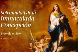 Hoy celebramos la Solemnidad de la Inmaculada Concepción