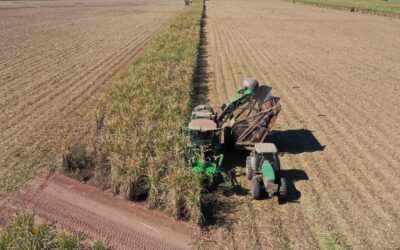 Fronteras abiertas: crece la inversión de productores locales en campos extranjeros