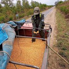 Bullrich inició el operativo “granos evasores”: realizaron 13 allanamientos para detener a una banda que contrabandeaba soja y maíz