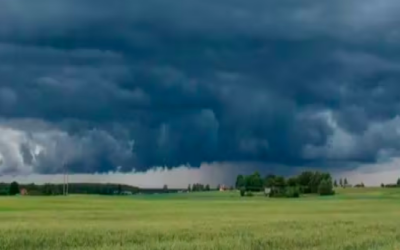 La sabiduría popular otorga un valor predictivo a las tormentas que suelen producirse alrededor de la Festividad de Santa Rosa