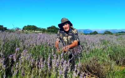 ¿Quién dijo que en el campo no existen los científicos locos? En Atos Pampa, el agrónomo Felipe Villa Abrille montó un verdadero laboratorio para extraer la esencia de las plantas y descubrir sus incontables beneficios