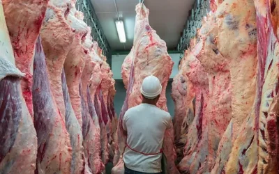 Argentina bate récord exportador y se consolida como quinto proveedor mundial de carne vacuna