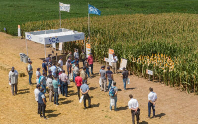 Celebran 20 años de innovación agrícola en la muestra A Campo Abierto