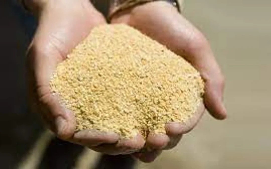 Argentina exportó a Europa más de 46.000 toneladas de harina de soja libre de deforestación