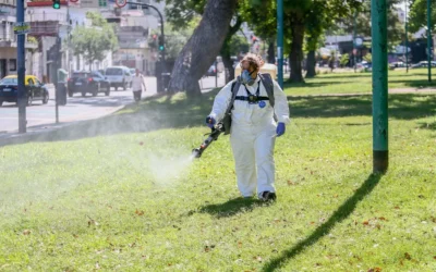 Hasta cuándo puede durar la invasión de mosquitos en el AMBA