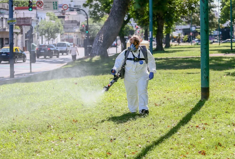 Hasta cuándo puede durar la invasión de mosquitos en el AMBA