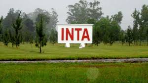 Oportunidad en el INTA: abren convocatoria a cargos directivos en varias estaciones experimentales y de limpieza en Pergamino