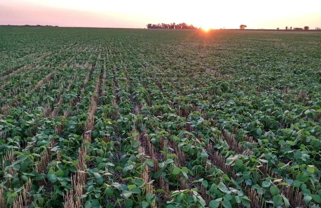 La productividad del agro depende hasta en un 80 % del agua