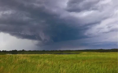 Suelos: cómo conservar 100 milímetros de agua de lluvia