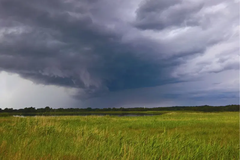 Suelos: cómo conservar 100 milímetros de agua de lluvia