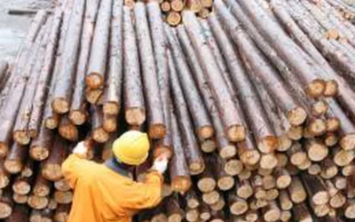 La industria de la madera, en crisis: la actividad se derrumbó 40% en el primer bimestre