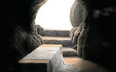 Entonces entró también el otro discípulo, el que había llegado primero al sepulcro, vio y creyó.