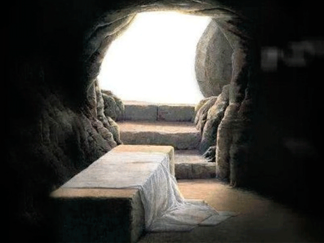 Entonces entró también el otro discípulo, el que había llegado primero al sepulcro, vio y creyó.