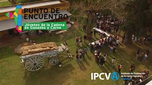 25 de abril: Punto de Encuentro Joven del IPCVA en Olavarría