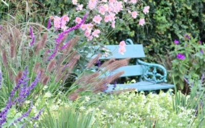 Plantas y flores que no podés dejar de tener en tu jardín en otoño