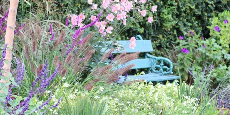 Plantas y flores que no podés dejar de tener en tu jardín en otoño