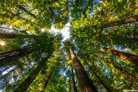 Día Mundial del Medio Ambiente: nuestras tierras, nuestro futuro