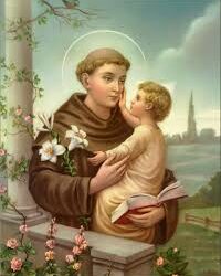 Hoy celebramos a San Antonio de Padua, sacerdote franciscano y doctor de la Iglesia
