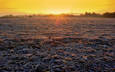 Pronóstico extendido. Seguirá el ambiente frío, seco y con heladas en Córdoba