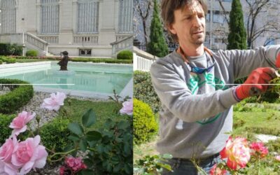 En la mente de un Maestro Jardinero: la visión y pasión de Hernán Corominas