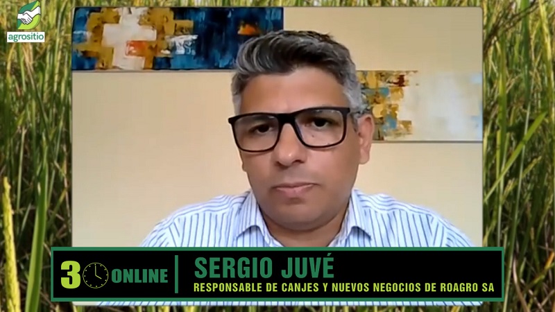 El mundo cambia y el mercado de granos busca nuevos rumbos