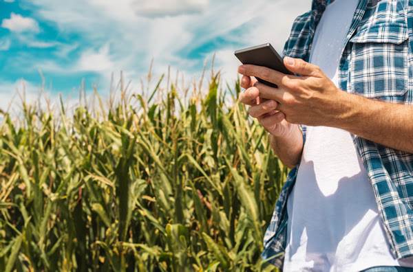 El celular como herramienta para simplificar el control de la campaña agrícola