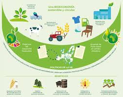 El círculo verde: un networking de Bioeconomía propone negocios sostenibles