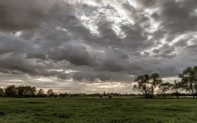 Los ruegos del campo, en parte, se hicieron oír y llovió justo a tiempo en algunos lugares