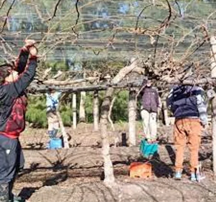 El pueblo donde podés descansar y ser productor frutihortícola por un día
