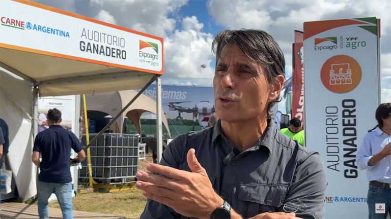 Ante buenos precios, es momento de intensificar tranqueras adentro