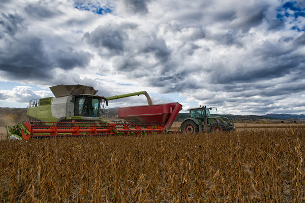 Cómo alcanzar una cosecha eficiente con la digitalización de la gestión agropecuaria