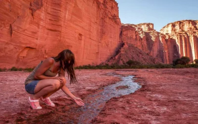 Ni Medio Oriente ni Babilonia: estas ruinas argentinas se parecen a un increíble paisaje del mundo antiguo