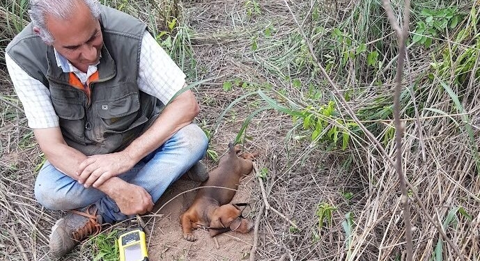 En el día del agrimensor, el veterano Miguel del Valle Ponce expone su pasión por ese oficio: “La tomo, no como un trabajo, sino como un disfrute cuando voy a los campos”