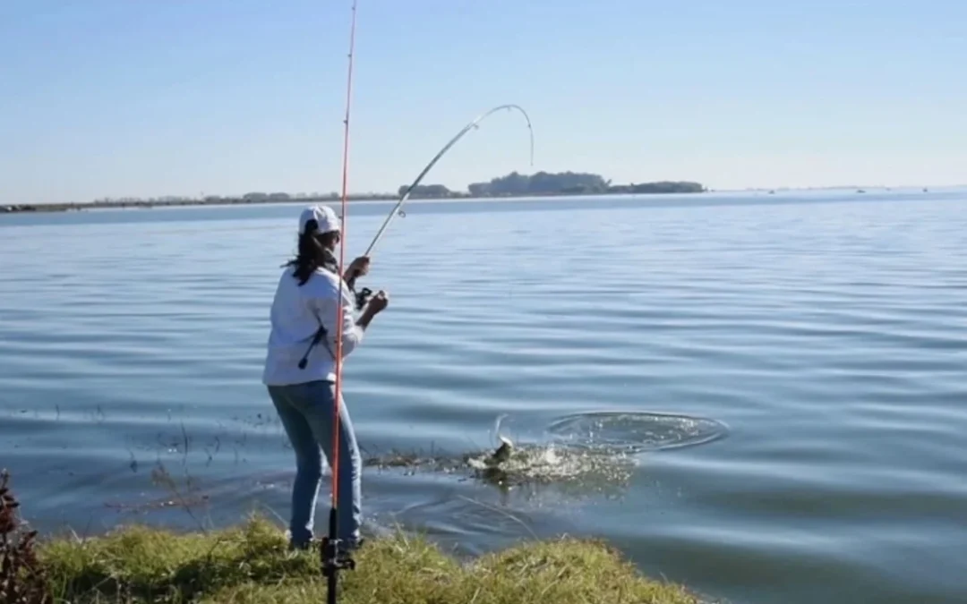 Hay pique: las 5 mejores lagunas para pescar Pejerrey en Buenos Aires
