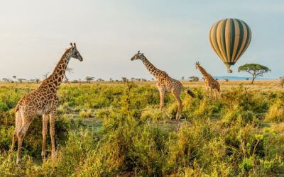 Grandes viajes para amantes de la naturaleza