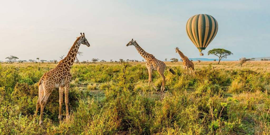 Grandes viajes para amantes de la naturaleza