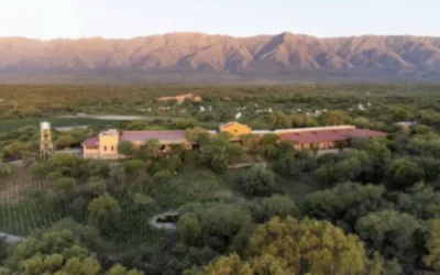 Entre Viñedos y Sierras: La Matilde, una Posada de Bienestar en Traslasierra