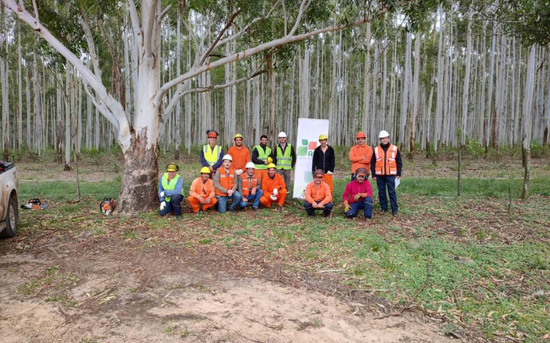 Cómo el Sector Forestal Argentino pasó del primer puesto de incidencias en accidentes laborales a ser un referente  Nacional e Internacional en Buenas Prácticas Laborales