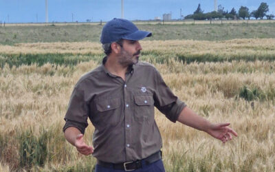 Tras las lluvias, un frente frío provoca heladas en zonas productivas del sur del área agrícola