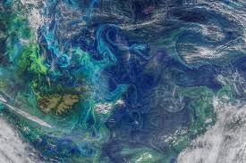 La NASA descifró el enigma de las aguas color turquesa en la plataforma continental, Malvinas incluidas