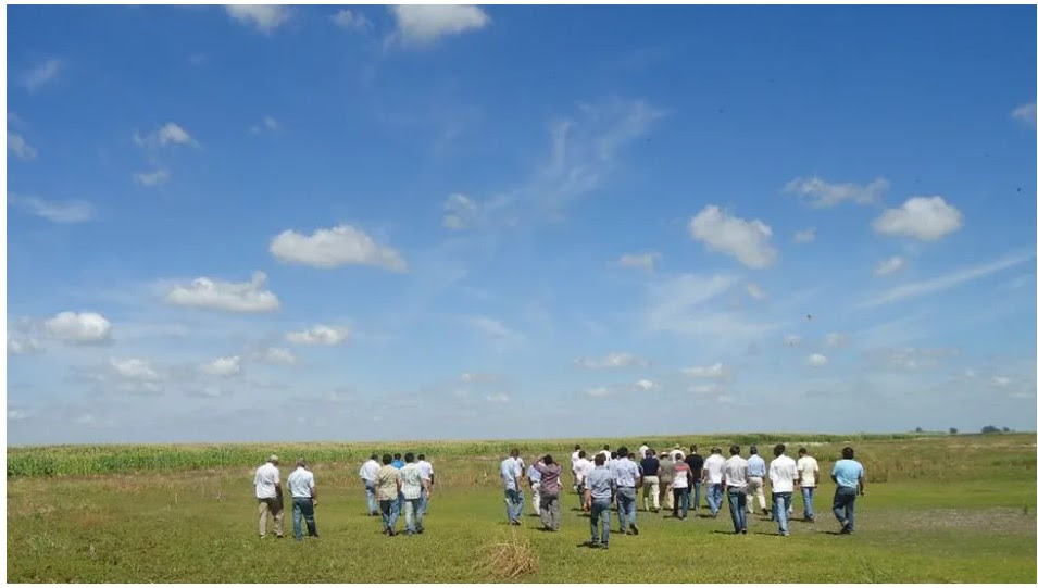 Economía argentina: impacto en el agro del nuevo esquema cambiario