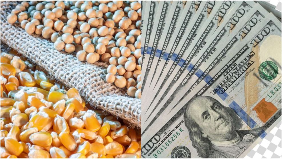 Las ventas al exterior del agro registran el segundo agosto más bajo en 16 años