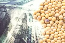 En los últimos cinco años la agroindustria aportó el 92% de las divisas netas de la economía argentina